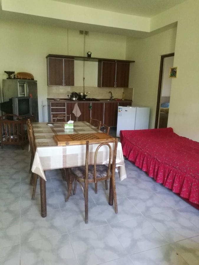 Artyomi Toon Apartment Dilijan Ngoại thất bức ảnh