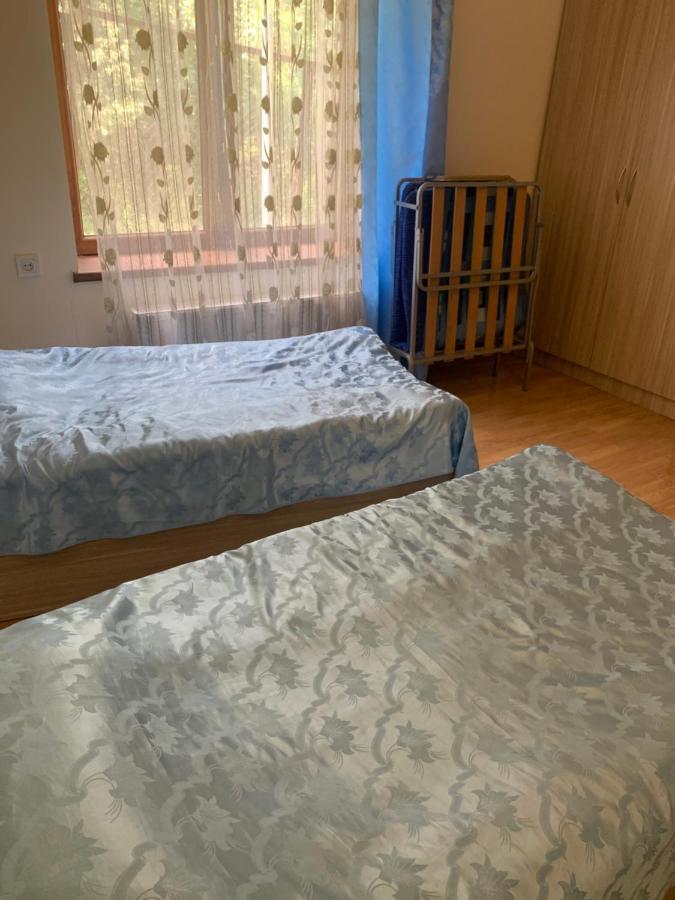 Artyomi Toon Apartment Dilijan Ngoại thất bức ảnh